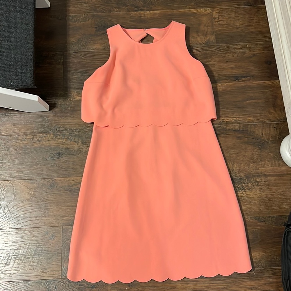 LOFT coral scalloped dress with open back and scalloped detailing